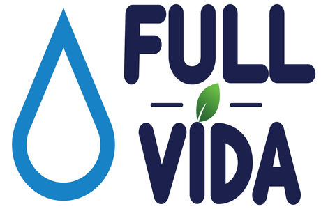 Línea de tiempo de crecimiento de FULL VIDA